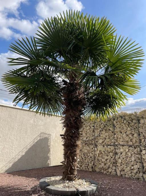 Apartment 5 Min Airport Aeroport - Shuttle Navette - Parking *